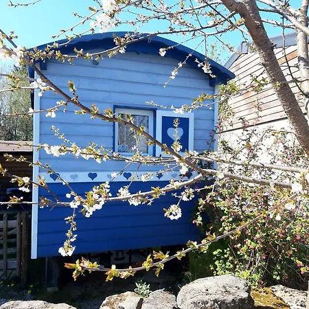 Cozy Little Blue Caravan In Scy Belgique بيت للعطل *