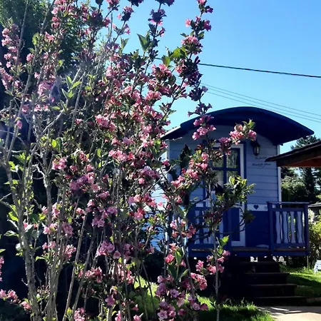Cozy Little Blue Caravan In Scy Belgique Scy