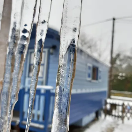 Cozy Little Blue Caravan In Scy Belgique Casa vacanze *
